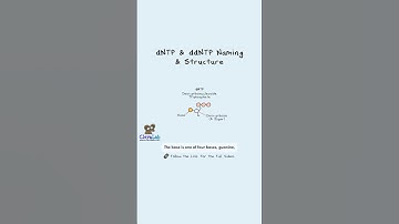 dNTP and ddNTP - Naming and Structure. #sequencing #sangersequencing