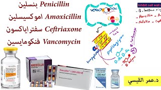 Amoxicillin اموكسيسلين - Penicillin بنسلين - Ceftriaxone سفتراياكسون  - Vancomycin فنكومايسين