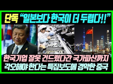 "솔직히 일본보다 한국이 더 두렵다!" 한국기업 잘못 건드렸다간 국가파산까지 각오해야한다는 미국매체의 서슬퍼런 경고에 경악한 중국여론