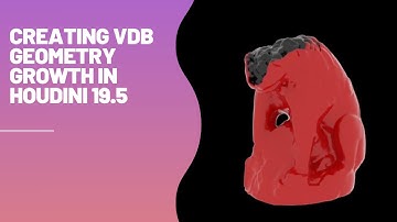 Creating VDB Geometry Growth in Houdini 19.5