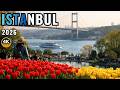 Istanbul Turkey 2026 Tulip Festival Emirgan Park Ambiance in 4K | Real City Life Fixed Camera