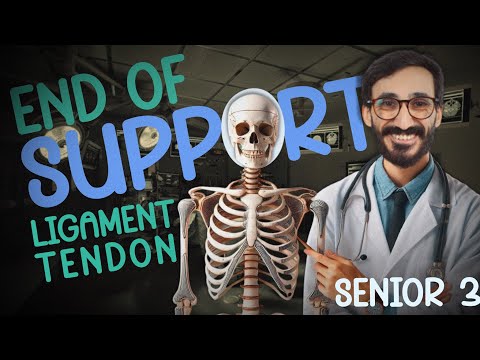 Biology Senior 3 Session 4 Part 3 Support In Human Ligaments And Tendons دكتور مصطفي خضر