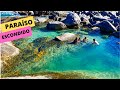 O QUE FAZER EM CADA PRAIA DE CABO FRIO ( RJ )