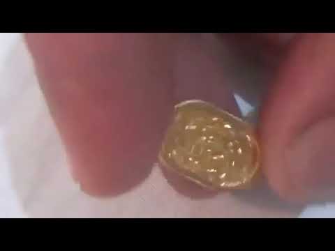 الجعران الفرعوني المتحرك فالصو