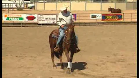 Teaching the Turnaround: 2 Year Old Backaround
