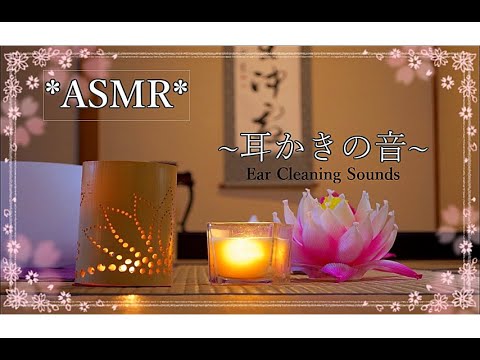 【ASMR/音フェチ】耳かきの音/Ear Cleaning Sounds【声なし/No Talking】