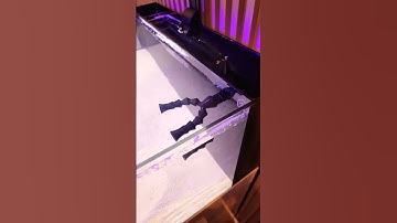 reef casa dual random flow generator