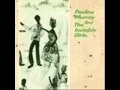 Pauline Murray and the Invisible Girls - The Visitor
