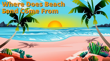 Where Does Beach Sand Come From