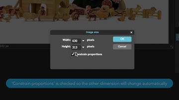 Edward Robertson - Pixlr Image Resizing