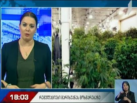 მარიხუანის კულტივირების საკითხი - კონსულტაციები პარლამენტში