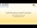 Ch3 Cell structure