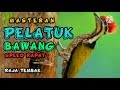 Masteran Tembakan Pelatuk Bawang Speed Rapat Dan Tajam Mp3 - Mp4 Download