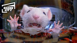 Trapped In The Washing Machine Stuart Little Michael J. Fox, Geena Davis, Nathan Lane