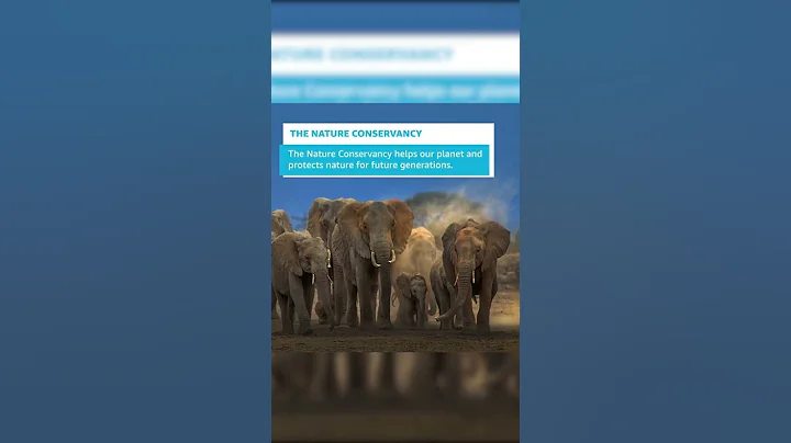 #SHORTS | AmazonSmile Donates to Charities Making an Impact | Amazon News