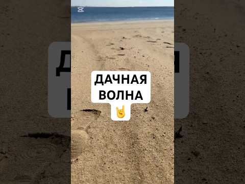ДАЧНЫЙ ВАЙБ ОТКРЫВАЕМ СЕЗОН #shorts #интересно #дача #природа #волга #завтрак #russia #goodvibes