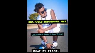 Gallado.[Zwa Mjolo Zwiavhavha]f.t(Shaka-yoliwa-yoliwa)Out