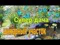 Мэри где??//Экскурсия по усадьбе моего зрителя//Накупили всего//Береза для коз