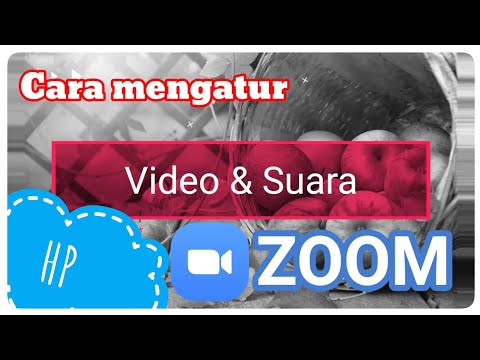 Video: Cara Mematikan Semua dalam Zoom: 4 Langkah (dengan Gambar)