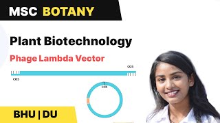 Bacteriophage Lambda | Cos Sites of λ vector | Plant Biotechnology | BHU | DU MSc Entrance |In Hindi