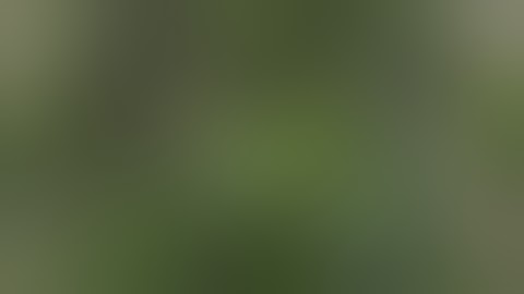 Mars Hydro Side by Side SP 250 and SP 3000 Day 1 Flower Chronic Skywalker plus A Stoner Thought