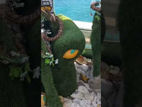 احلي منظر لبحر اسكندرية تفطروا فية جليم باي