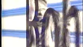 Film Romanbohbot Entertainment 1994