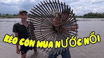 Kéo Côn Trên Đồng Nước Nổi – Mẻ Cá Đồng Tươi Ngon Cực Đã