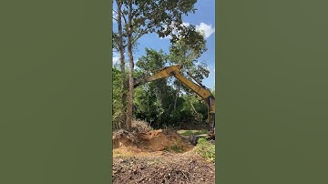 Amazing Excavator uses tis power to uproot trees. #excavator #automobile #viral
