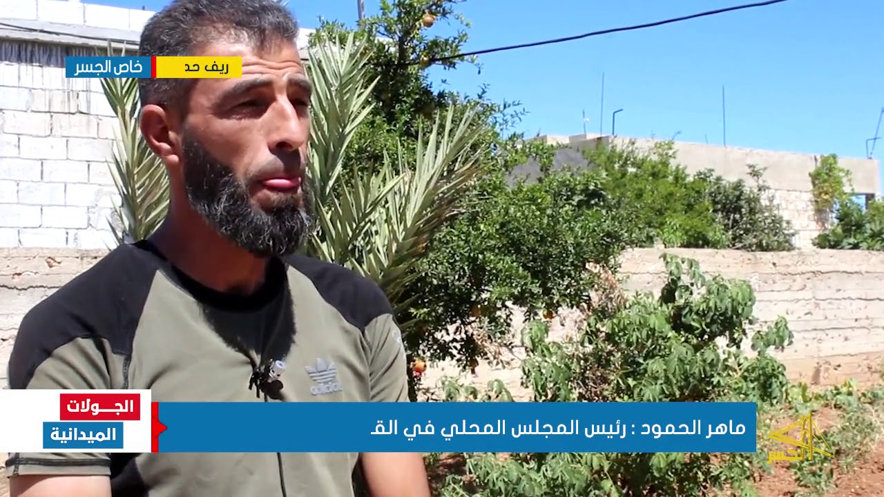 تربية الأبقار في قرية العنكاوي بريف حماة ..بين الازدهار والتراجع