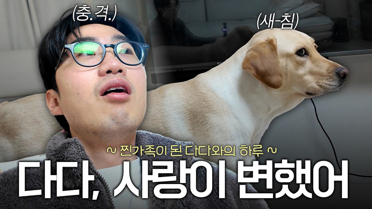 입양확정 후 사랑이 변한 이다다