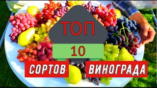 Топ 10 сортов винограда