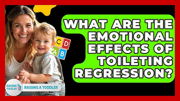 What Are The Emotional Effects Of Toileting Regression? - Raising A Toddler