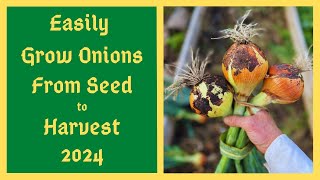 New GENIUS Method Of Growing Onions From Seed - Mid February To Mid March Time To Start Onion Seeds