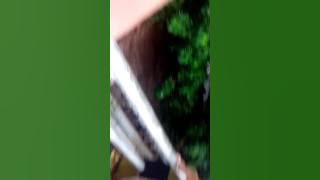 Banjir kab.banyuwangi kec.wongsorejo desa Bangsring.. Tgl 13-02-2017