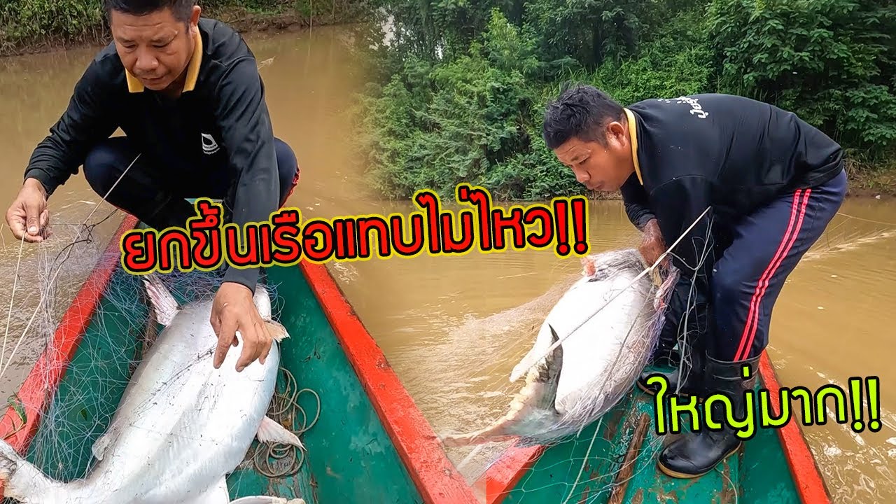 ยกขึ้นเรือแทบไม่ไหว!! โดนของใหญ่เข้าแล้ว!!? บ่าวแอร์หมานอีกแล้วครับพี่น้อง!!