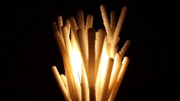 TREE LAMP :Parametric Design