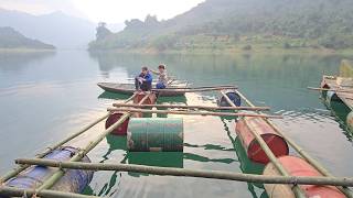2 The girl built a floating island to prepare for growing vegetables on the lake.