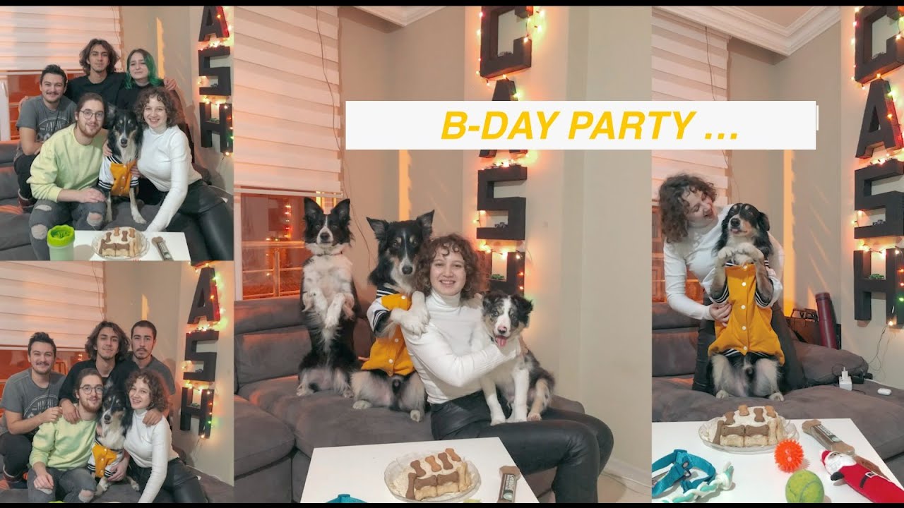 CASHİN DOĞUM GÜNÜNÜ KUTLADIK (KÖPEKLER İÇİN PASTA YAPTIK) YouTube