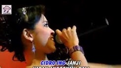 Ilang Tanpo Aran - Fajar Fadila (Official Music Video) - Durasi: 4:50. Ilang Tanpo Aran - Fajar Fadila (Official Music Video) - Durasi: 4:50.