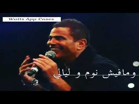 عمرو دياب كفاية انة بقالة ليلة ويوم اجمل حالات واتس