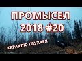 ПРОМЫСЕЛ 2018  #20  ОХОТА НА ГЛУХАРЯ.