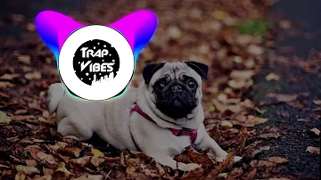 Rich The Kid-Plug Walk-(Pug Edition)