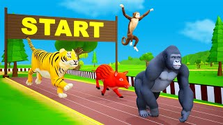 Crazy Animals Speed Race in Jungle Zoo | Funny Videos 3D Cartoons | Tiger,Gorilla,Monkey Videos 2023
