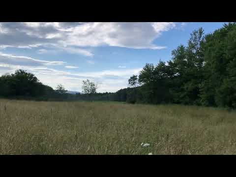 Village evening field sounds, Звуки вечернего деревенского поля, S Canaan, Pennsylvania