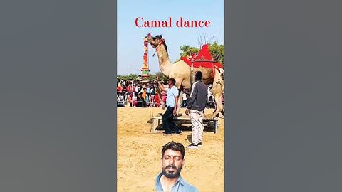 #rajasthani camal dance party 🥳🎉 in desert village