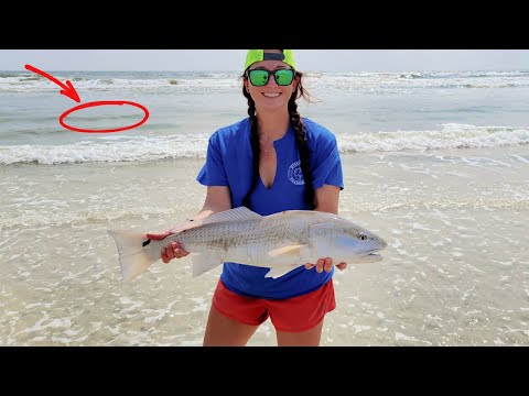 How To Catch Big Redfish From The Beach (Structure, Bait, & Rigs) 