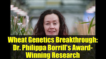 Wheat Genetics Breakthrough: Dr. Philippa Borrill