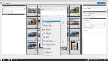 Photography workflow in Linux: #1 Rapid Photo Downloader - tutorial in italiano