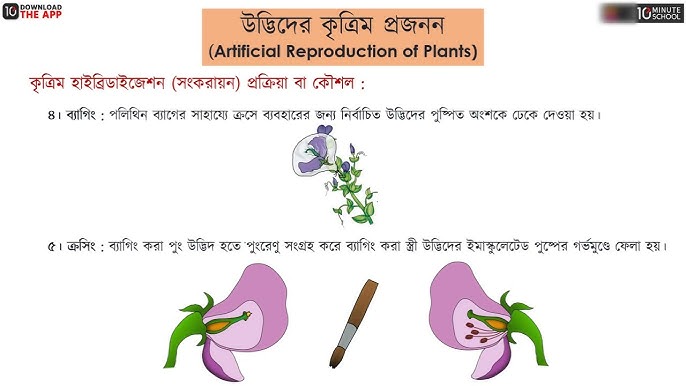 Anastasiya Volochkova jinsiy aloqa video Hey chicka, men hikka go jinsiy aloqa mm